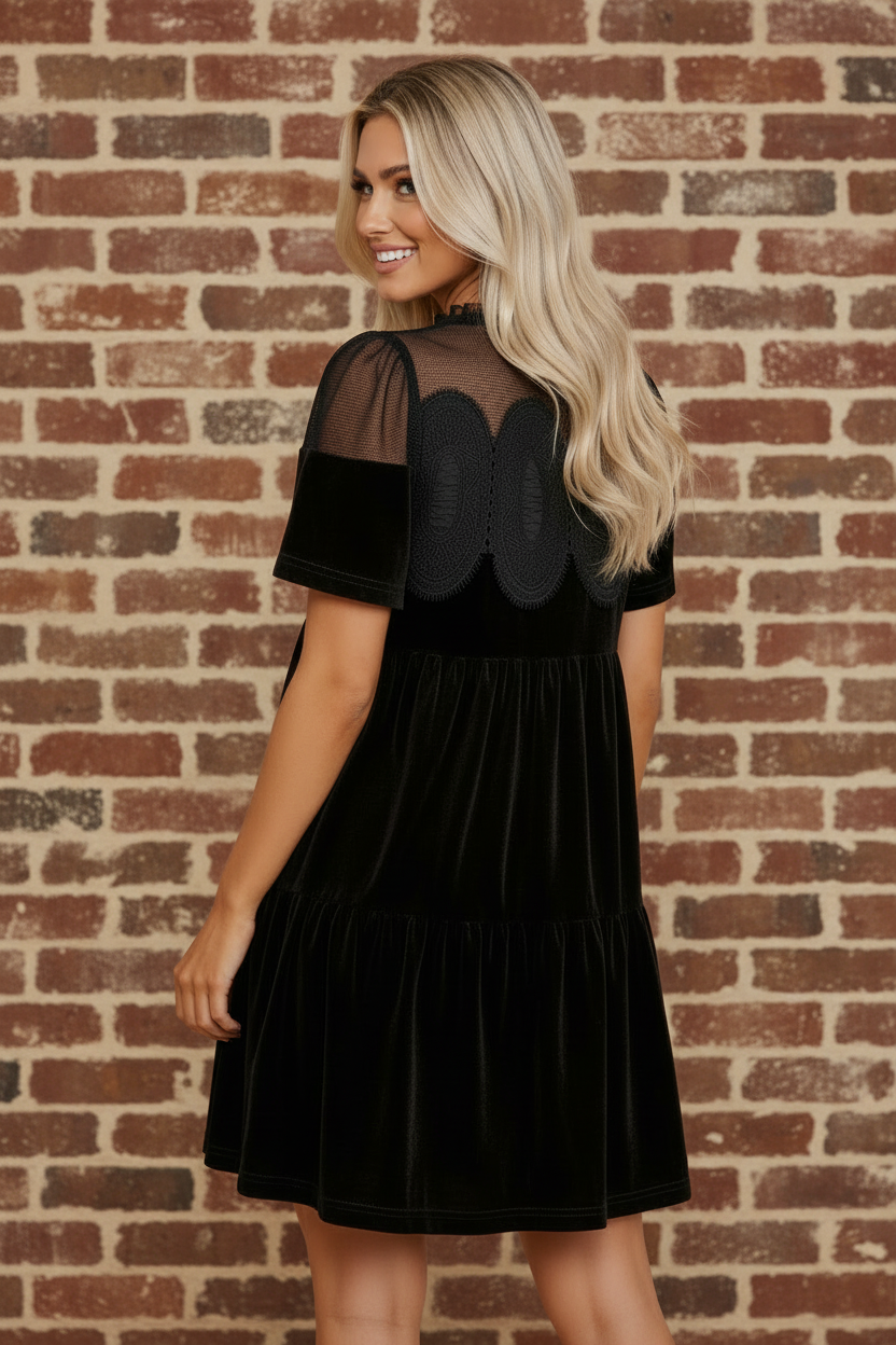 Solid Embroidered Mesh Patchwork Velvet Mini Dress